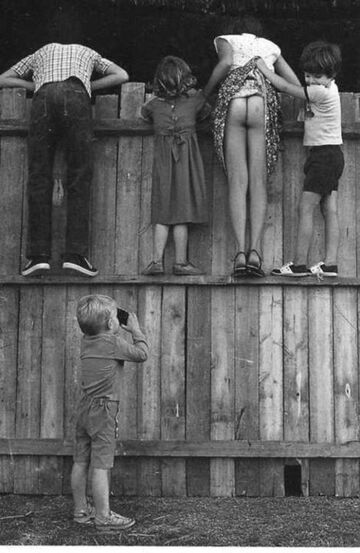 Czarno białe - Płot