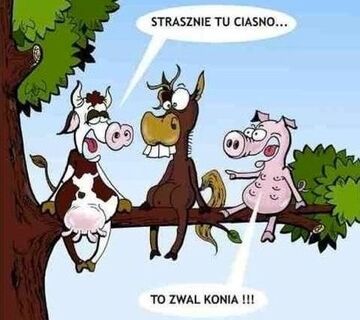 Strasznie tu ciasno..