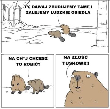 Tuskowi na złość