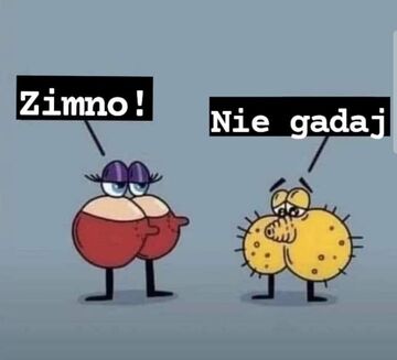 Robi się zimno