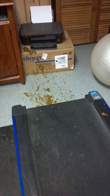 Długo próbujesz zapisać się na siłownie?