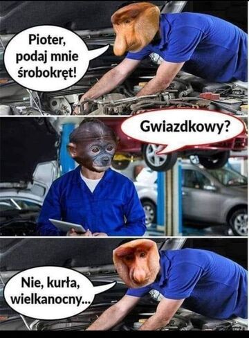 Pioter, podaj mnie śrubokręt!