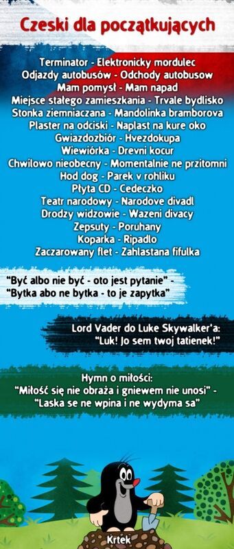 Czeski dla początkujących