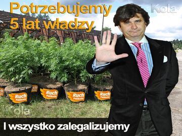 Sadzić Palić zalegalizować