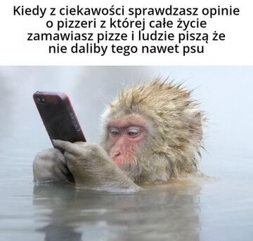 Czysta ciekawość