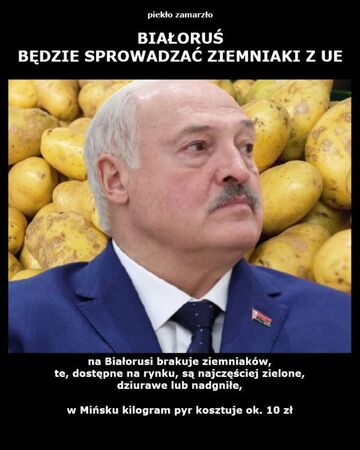 Brakuje ziemniaków na Białorusi 😆