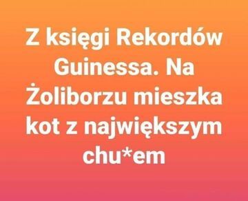 Z ostatniej chwili: Rekord Guinnessa na Żoliborzu