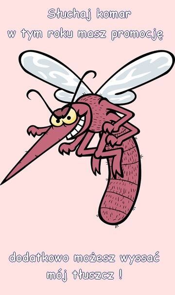 Komar ssij mój tłuszcz