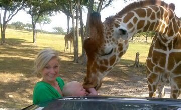 Żyrafy dosłownie lubią dzieci