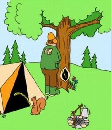 Wiewiórka Vs Człowiek