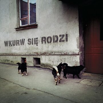 wkurw się rodzi
