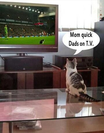 Mom qucik Dads on T.V.