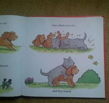 Tymczasem w książce o psach...