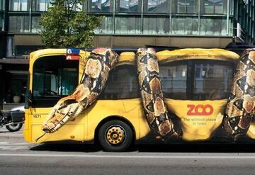Reklama na autobusie - Zoo