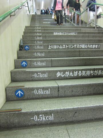 Schody z miarą spalonych kalorii