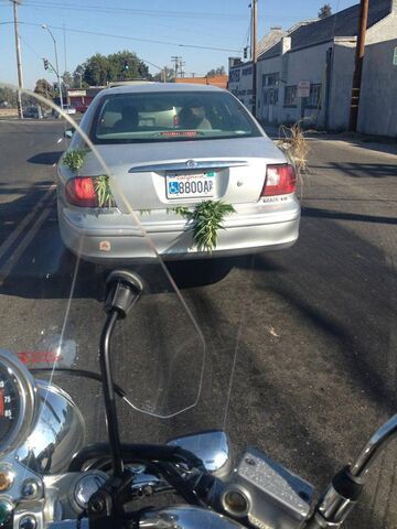 Proszę otworzyć bagażnik