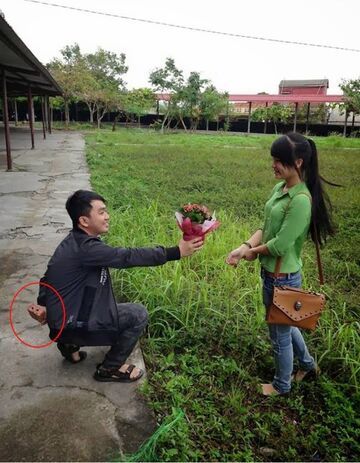 Oświadczyny z cegłą?