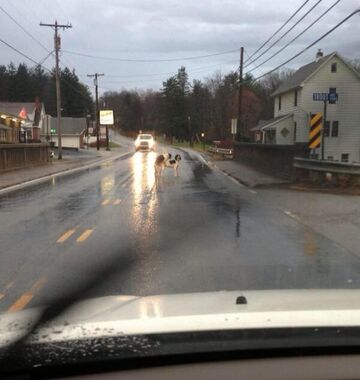 Jak przyjdzie ochota, to nie ważne gdzie i z kim