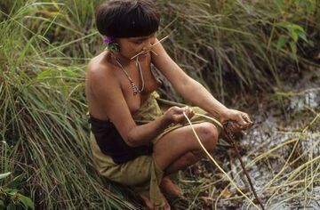 Amazonka