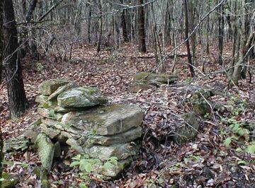 95% ludzi tego nie zauważy (ludzka głowa)