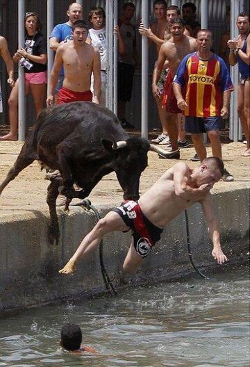 Ucieczka przed bykiem, zatyka nos?!