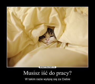 Wyśpię się za Ciebie!