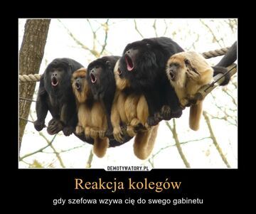 Reakcja kolegów.