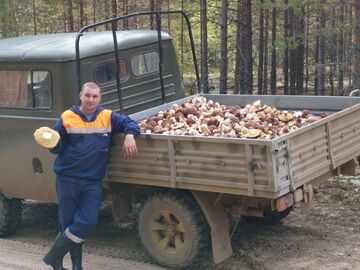 To mówisz, że byłeś na grzybach?