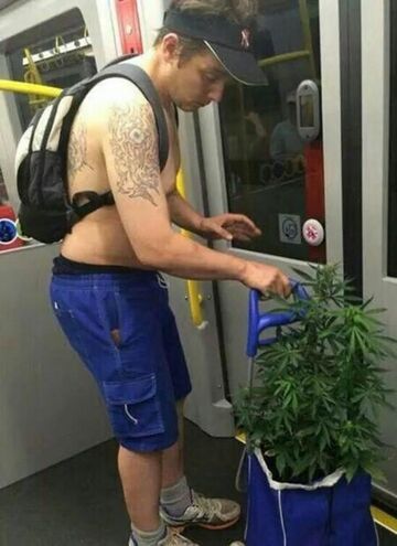 Tymczasem w tramwaju...