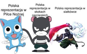 Polska w sporcie bywa taka