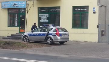 Strzyżenie psów w Radomiu
