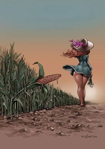 Na polu kukurydzy