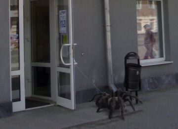 Jednak pójdę do innego klepu...