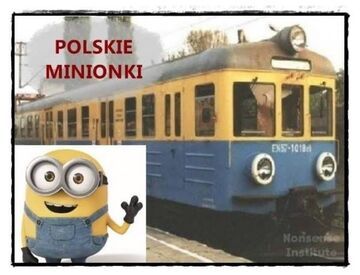 Polskie Minionki