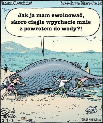 Jak ja mam ewoluować?