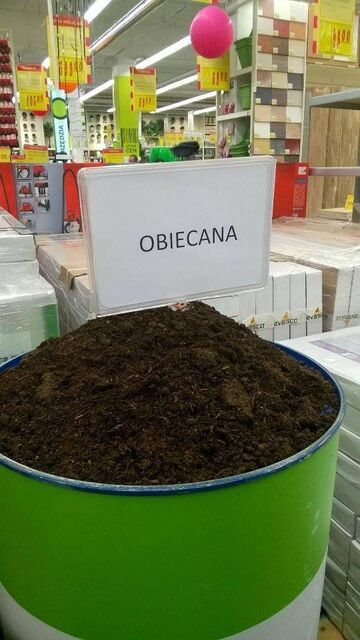 Ziemia obiecana