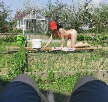 Sezon siewu w pełni!