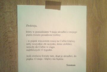 Złodzieju kwiatów!