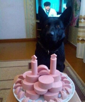 Torcik z mortadeli dla pieska