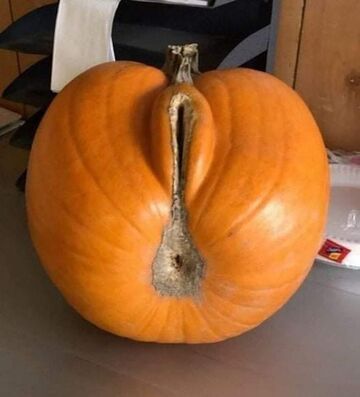 Świeże wspomnienia Haloween