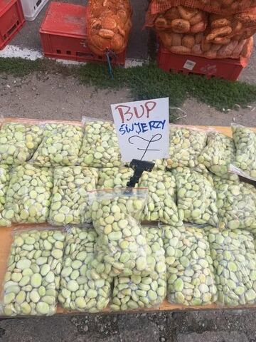 Bup św. Jerzego? 👀