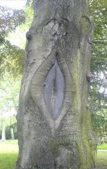 Przyroda czyni cooda