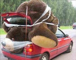 wielki miś na samochodzie