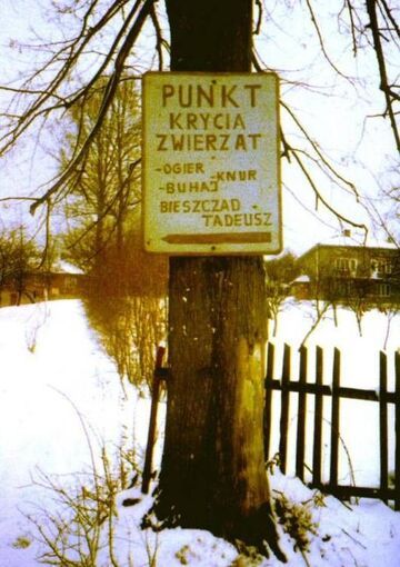 PUNKT KRYCIA ZWIERZĄT
