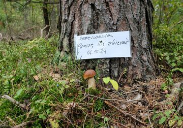 "Rezerwacja proszę nie zbierać"