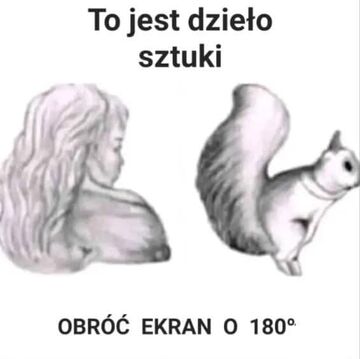 Obróć ekran o 180°