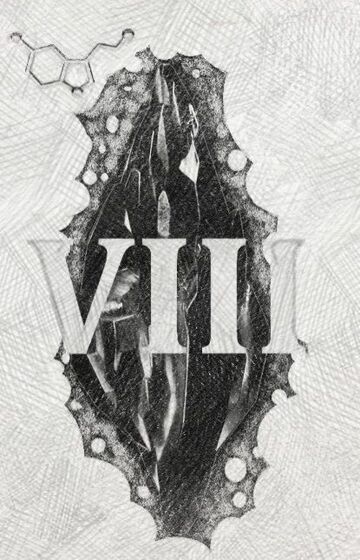 Mroczny kamień (VIII)