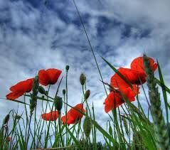 Światełko w tunelu cz.6