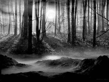 Tajemnica Mrocznego Lasu cz 7