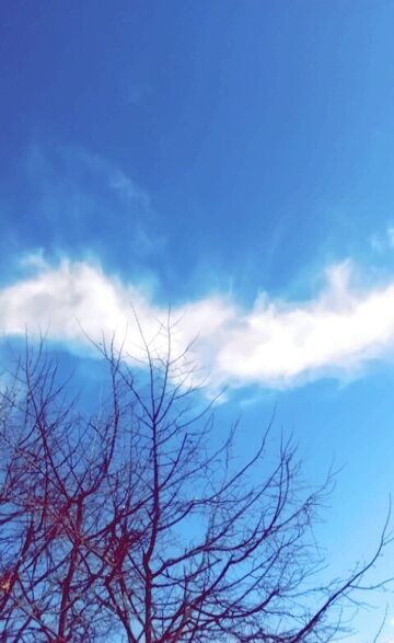 W poszukiwaniu szczęścia cz - 19